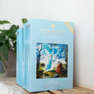 Libro degli Angeli Volume 1 - Collezione Éditions UCM