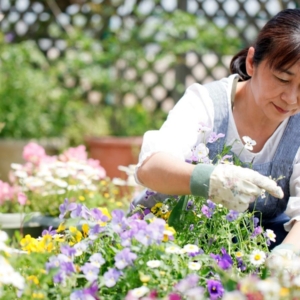 Featured-img - Christiane hilft mir bei der Gartenarbeit - Träume verstehen - Kaya