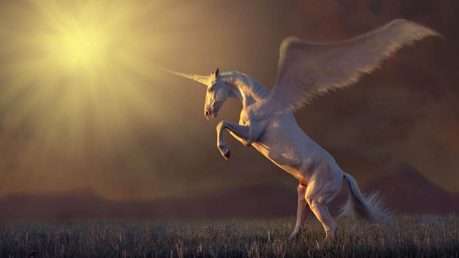 L'unicorno cattivo - Capire i propri sogni - Kaya