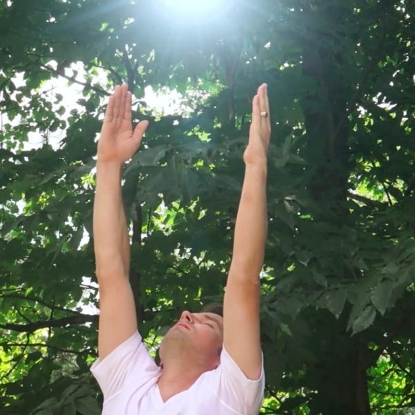 Angelica Yoga - 1.4 La spina celeste