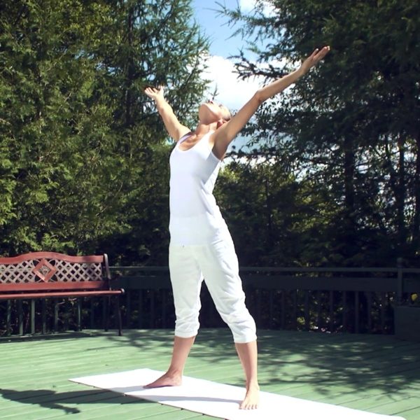 Angelica Yoga - 2.3 Der Stern