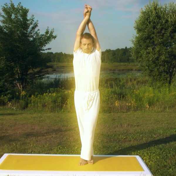 Angelica Yoga - 5.14 Le bâton de sagesse