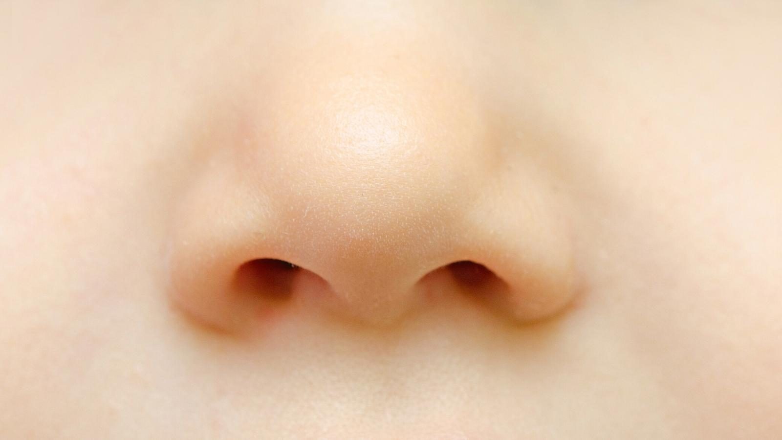Die Pflege der Nase - Verstehen Sie Ihre Träume - Kaya